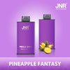 JNR Mega Box 25000 Puffs Disposable Vape (Schachtel mit 10 stück)