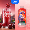 JNR Falcon X 18000 Puffs Disposable Vape (Schachtel mit 10 stück)