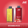 JNR Mega Box 25000 Puffs Disposable Vape (Schachtel mit 10 stück)