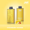 JNR Mega Box 25000 Puffs Disposable Vape (Schachtel mit 10 stück)