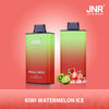 JNR Mega Box 25000 Puffs Disposable Vape (Schachtel mit 10 stück)