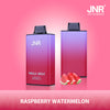 JNR Mega Box 25000 Puffs Disposable Vape (Schachtel mit 10 stück)