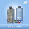JNR Mega Box 25000 Puffs Disposable Vape (Schachtel mit 10 stück)