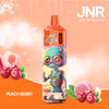 JNR Alien 10000 (Schachtel mit 10 stück)