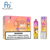 RandM Tornado 15000 Disposable Vape (Schachtel mit 10 stück)