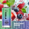Feela ENE/Elux 10000 Disposable Vape Puff Pod Box of 10 - #Simbavapeswholesale#