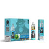 RAndM Tornado 7000 Züge Einweg Vape 10 Stück